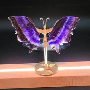 Fluorite Butterfly Wings 🦋 with Stand🦋